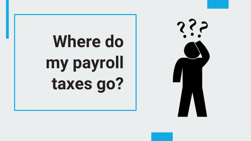 where do my payroll taxes go