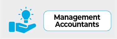 Management Accountants